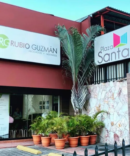 Mgtr. Rubio Guzmán